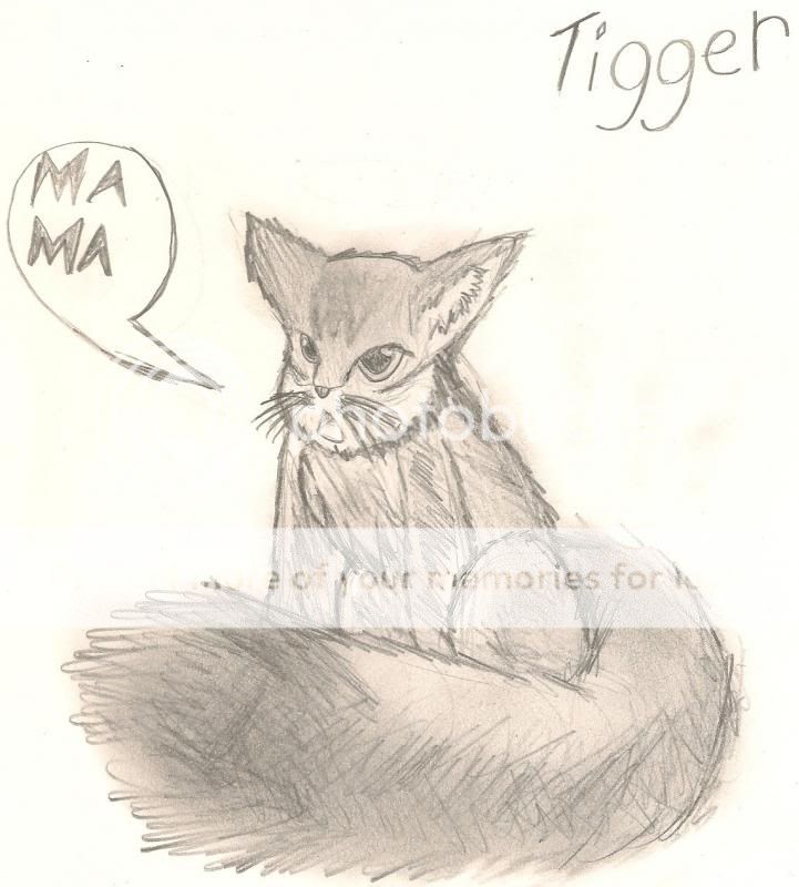 Forthwol's Art - Page 2 Tiggersketch_zps98b0e000