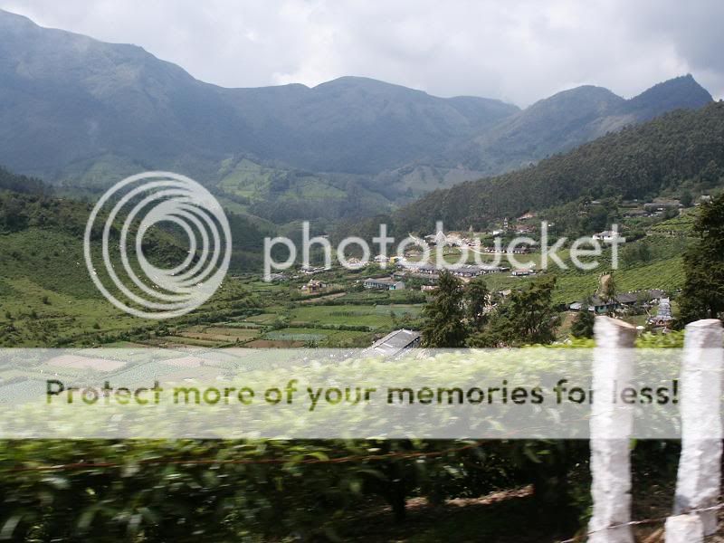 Beauty of Munnar PICT0072