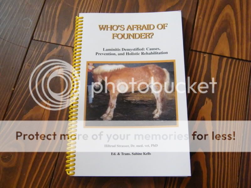 "Who's Afraid of Founder" Book 2009_0223ForSale0014