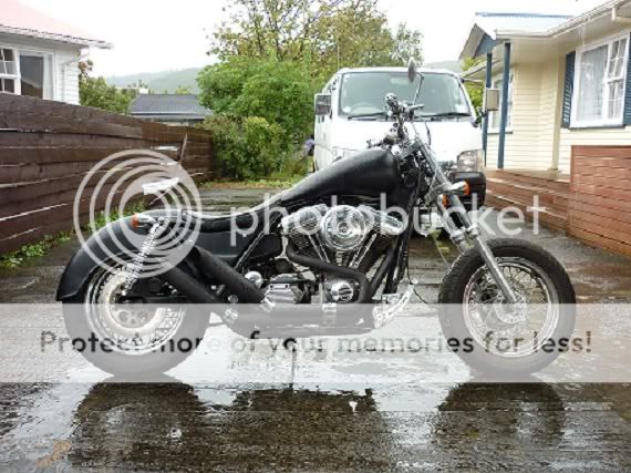 Cams 87 fxr P1000159