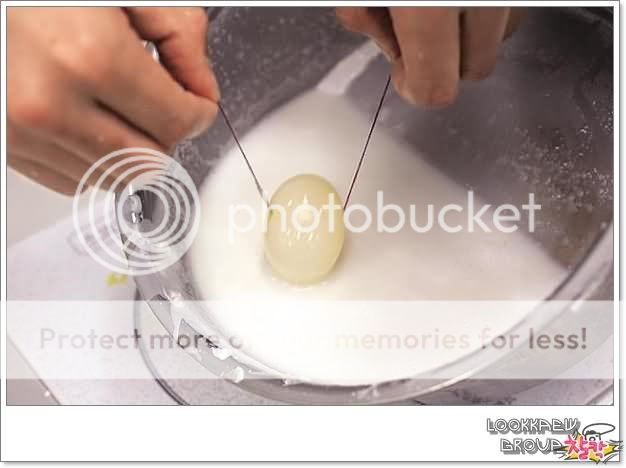 Damn Chinese Bootleggers!!! (  Manufacture of fake eggs ) Image005-2