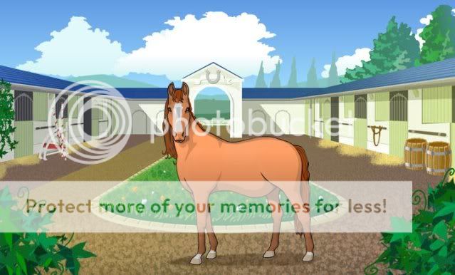 My Current Horses 65767_533803976105_71401378_31329295_2975719_n