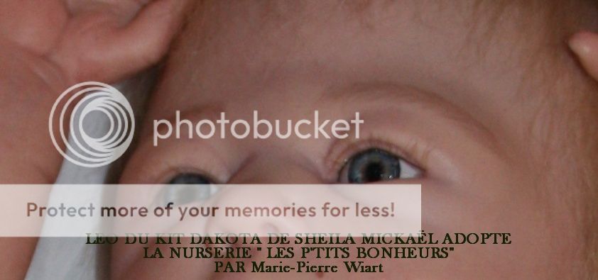 Nurserie "Les P'tits Bonheurs" par Marie-Pierre (maripears) - Page 4 LEODUKITDAKOTADESHEILAMICKAEumlLADOPTE014456789