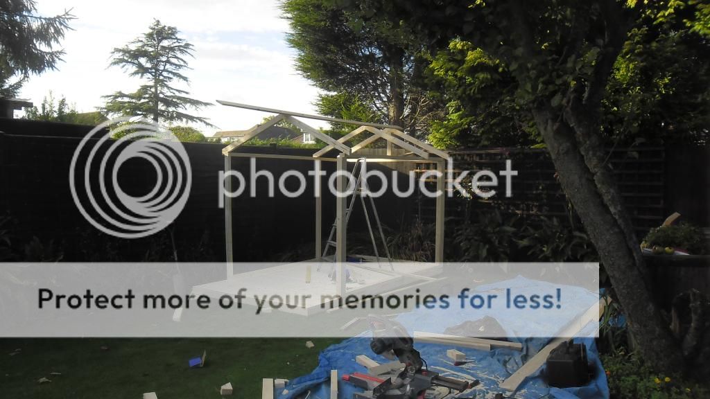 Another Bunny Shed Being Built.. Roof on :D Newshedbuild2013018_zps41d2164a