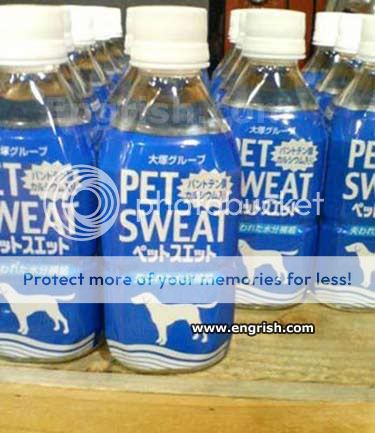 :+: Engrish :+: Pet-sweat