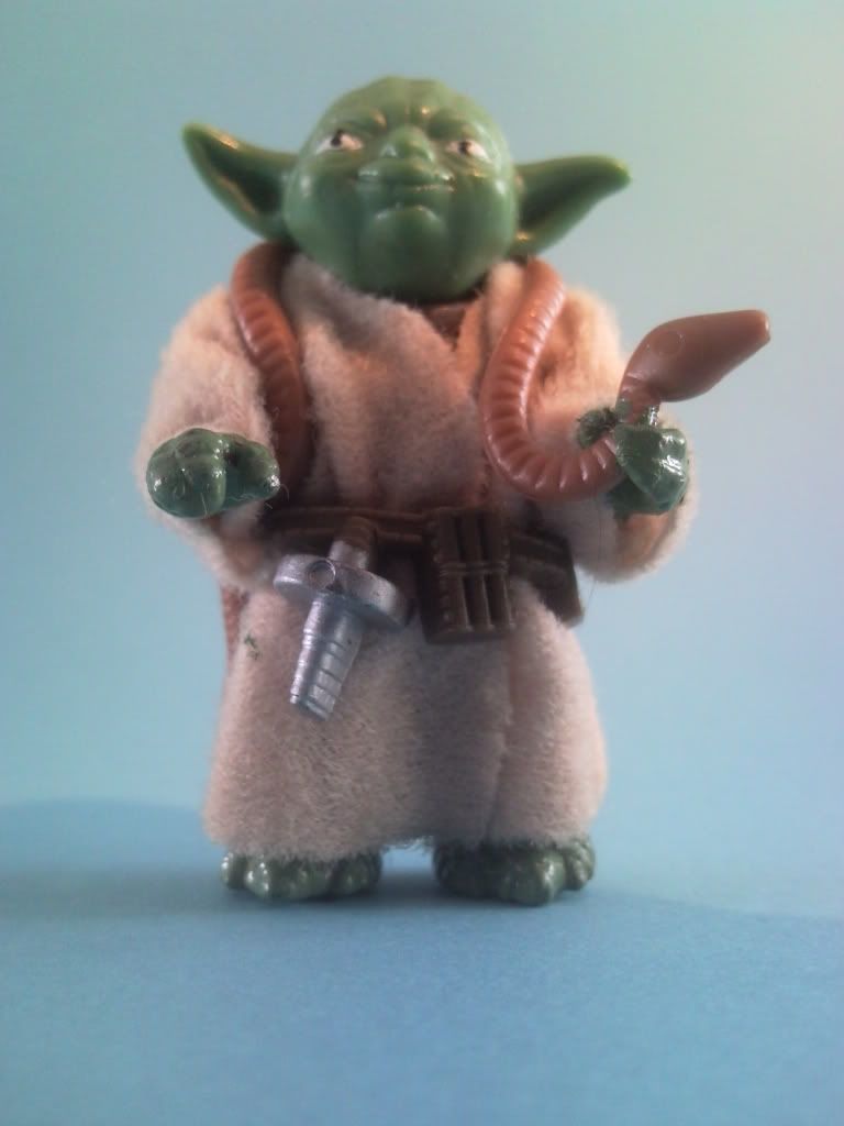 Help with My Hybrid Yoda! P100619_123656