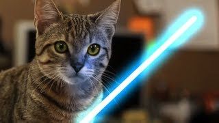 GROWING COLLECTION OF STAR WARS VIDEOS JEDIKITTEN_zpsb1211b8b