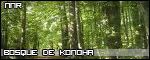 Bosque De Konoha