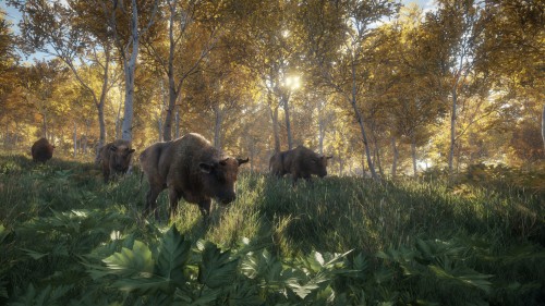 TheHunter Call of the Wild [v  1.16 + DLCs] (2017) by qoob 91feafc909eeb8e378edd7585a0ece7b