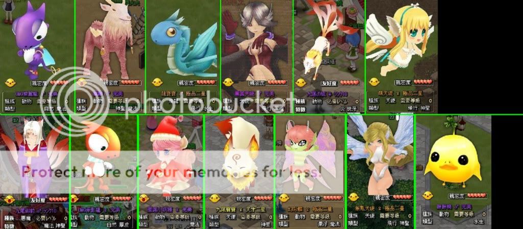 Amazing pets from other server. AllPets-1