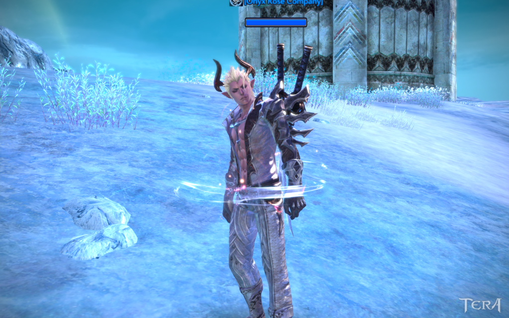 Images of Armor! TERA_ScreenShot_20120501_123707