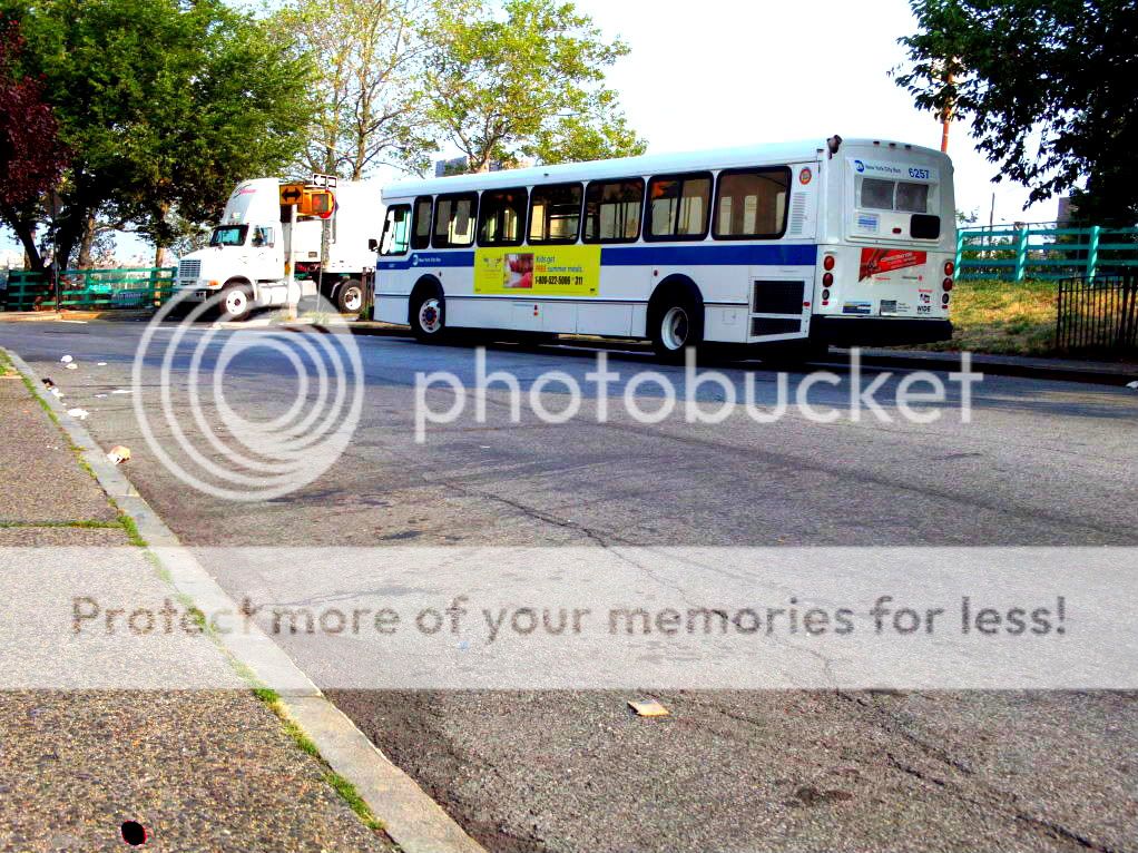 PHOTOS - Several buses just roaming around IMG00465