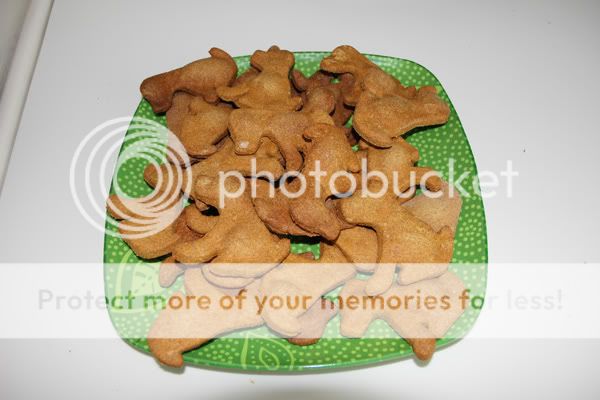 Peanutbutter pumpkin dog treats IMG_2048