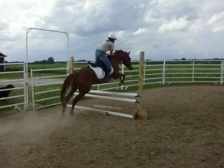 my horse....kinda Photo310Flip1-1