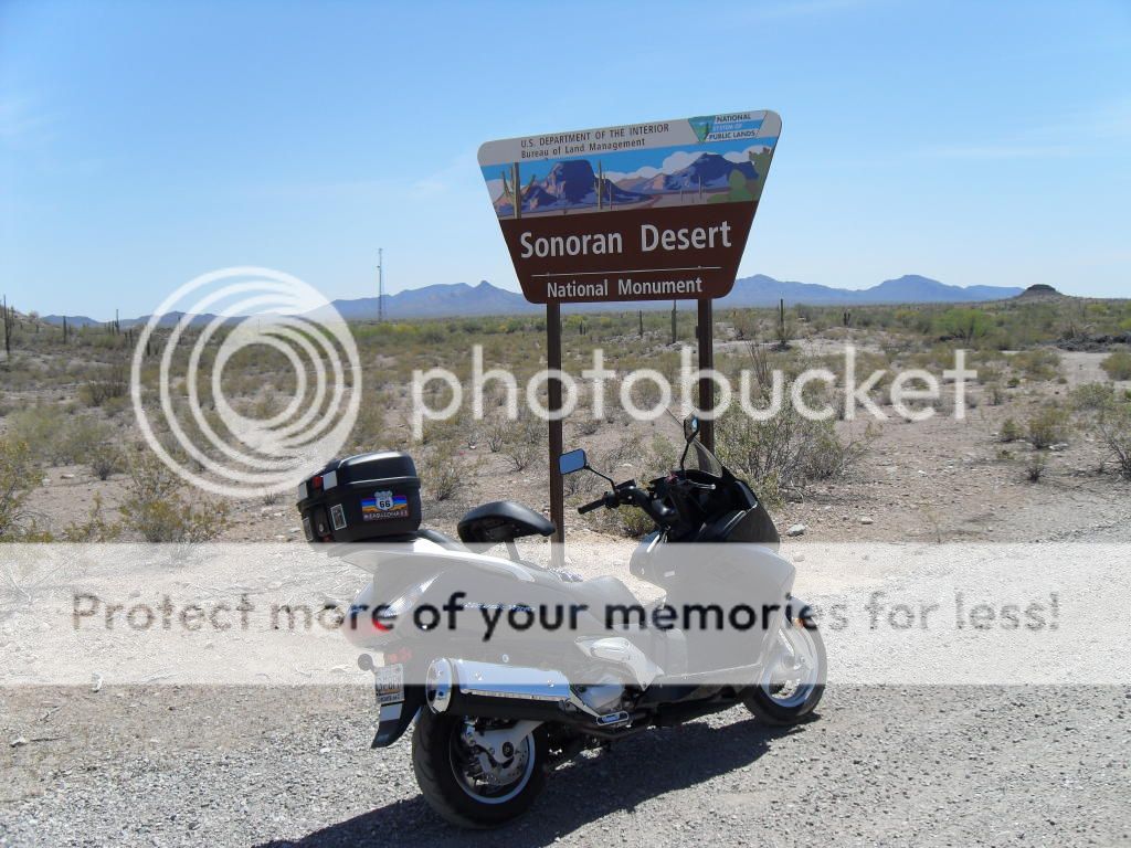 Sonoran Desert National Monument 5