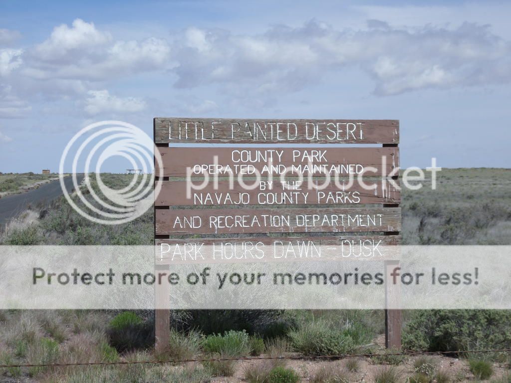 Petrified Forest National Park/ Painted Desert, AZ 13