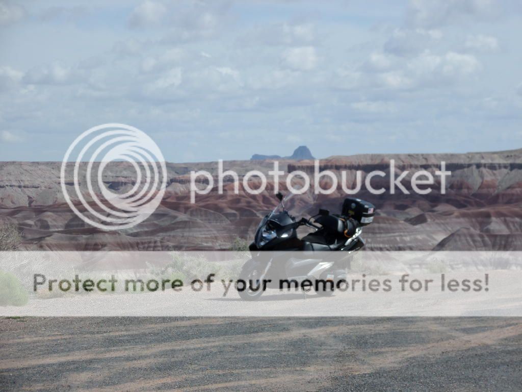 Petrified Forest National Park/ Painted Desert, AZ 15a