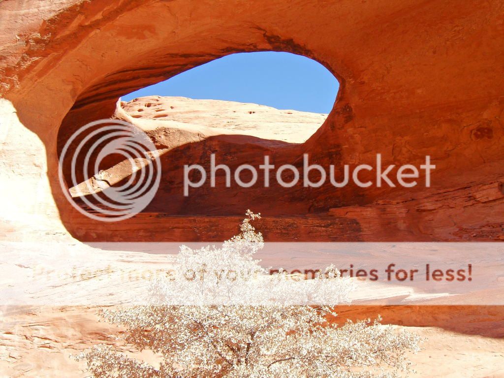 Monument Valley, Zion National Park the actual ride! Honeymoon