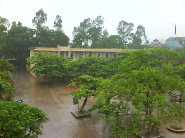 Đông Thụy Anh yêu dấu...  Rainy_yard