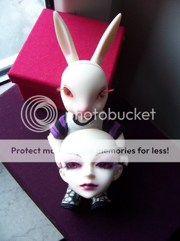 BJDs...face up, body blush, etc. *neue pics* Bunnymo080102a