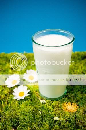 Uống sữa đúng cách Arlticle113017142011