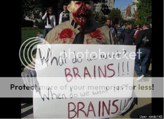 Funny Photos Brains