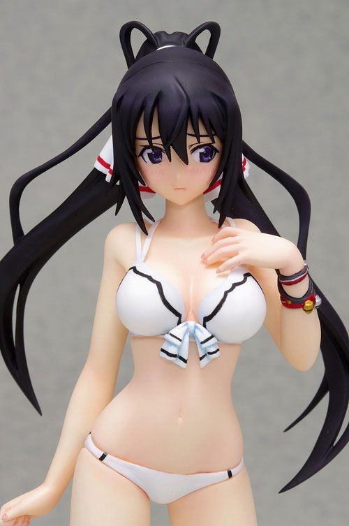 Kurisu Makise -Steins;Gate- y Houki Shinonono -IS: Infinite Stratos- Beach Queens (Wave) FIG-MOE-4095_05