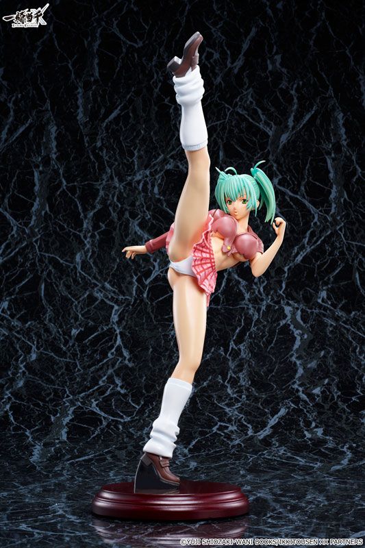 Ryofu Hosen 1/4.5 -Ikki Tousen Xtreme Xecutor- (A+) FIG-MOE-5608_02