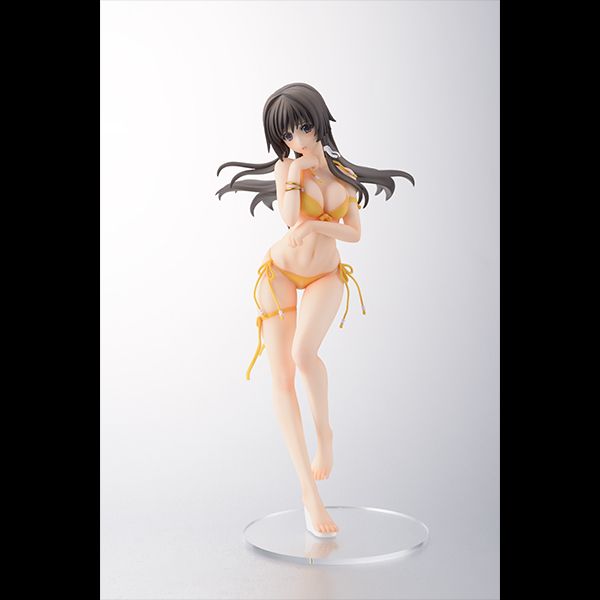 Yui Takamura Beach Shyness -Muv-Luv Alternative Total Eclipse- (Hobby Japan) Agon1359079415