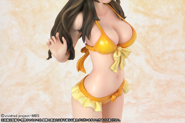 Himawari Shinomiya Swimsuit ver. 1/2.5 -Vividred Operation- (Griffon Enterprises)  09-7