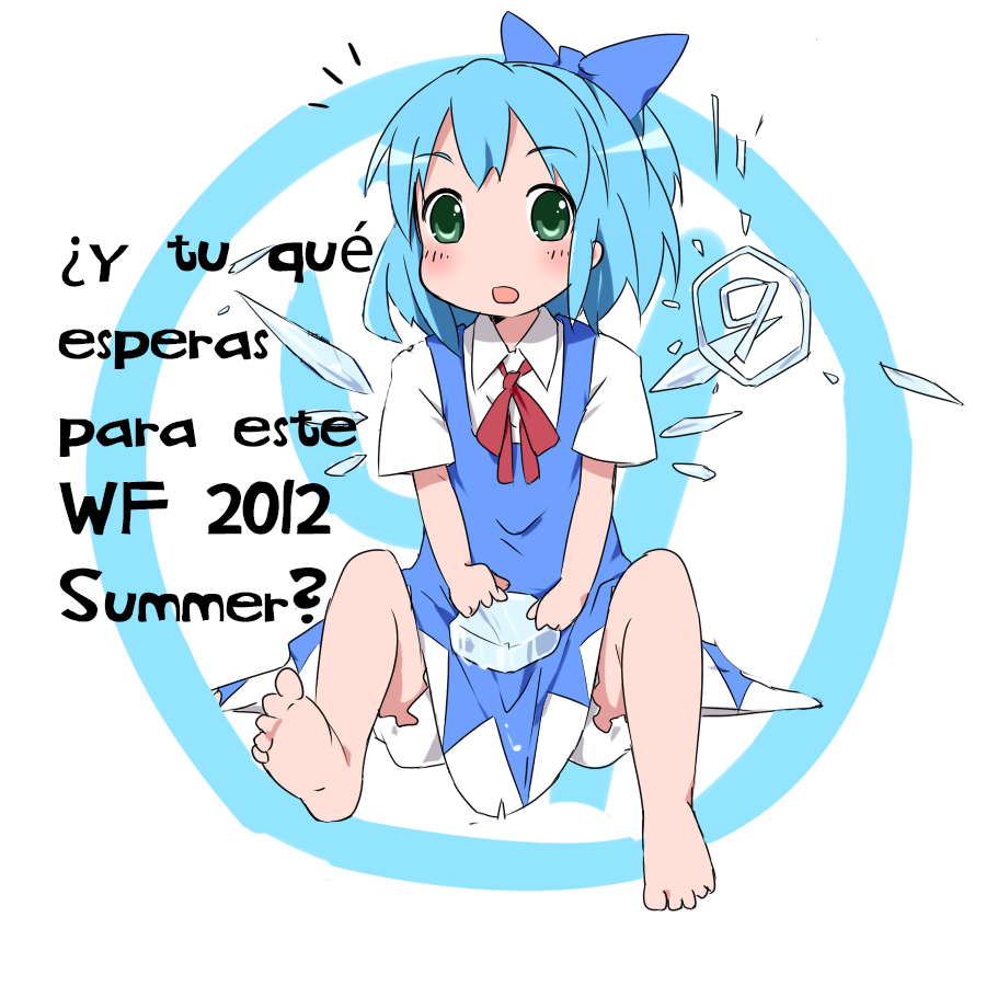 ¿Qué esperáis del Wonder Festival 2012 Summer? Cirno