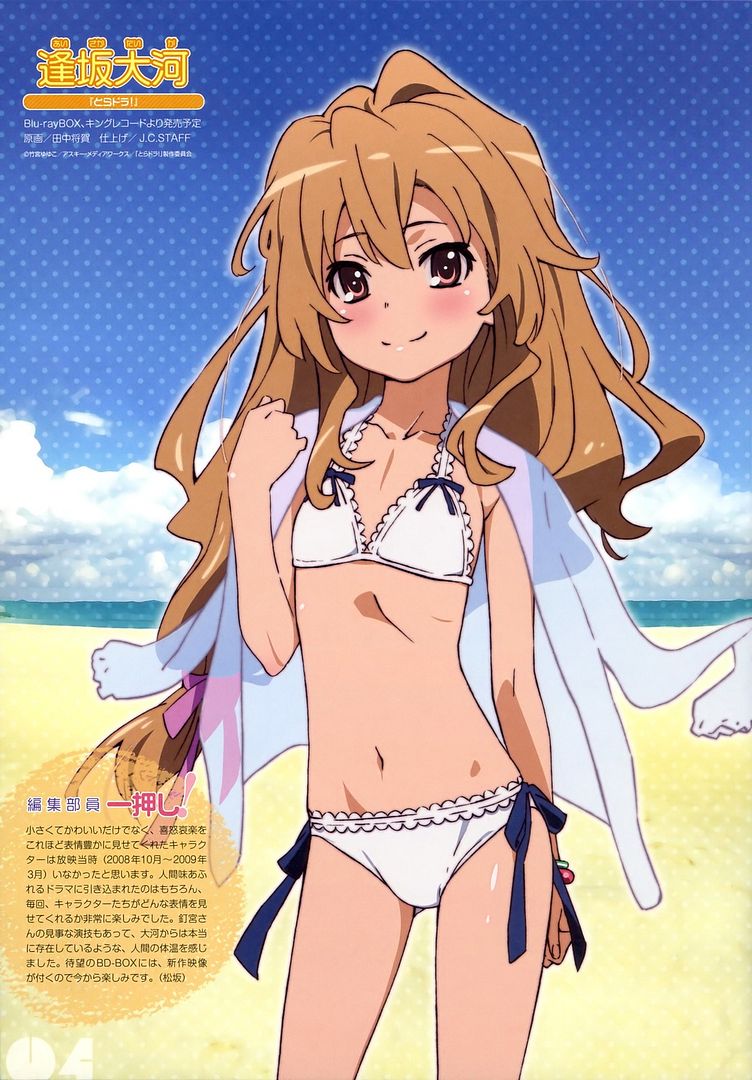 Aisaka Taiga Swimsuit ver. -Toradora!- (Ques Q) HIE1359819679