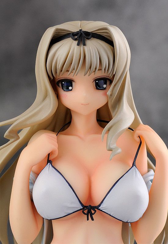 Sasara Kusugawa  Swimsuit ver. -To Heart 2- (FREEing) Faceb52d01770e10ed9e5106f6436e36