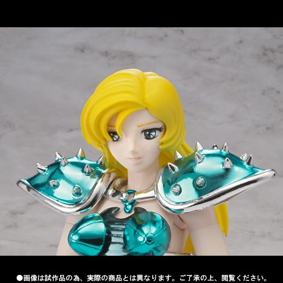 Saint Cloth Myth Chameleon June -Saint Seiya- (Bandai) 05-14