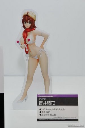 Wonder festival 2011 Winter -Orchid Seed- Wf2011winter_1459