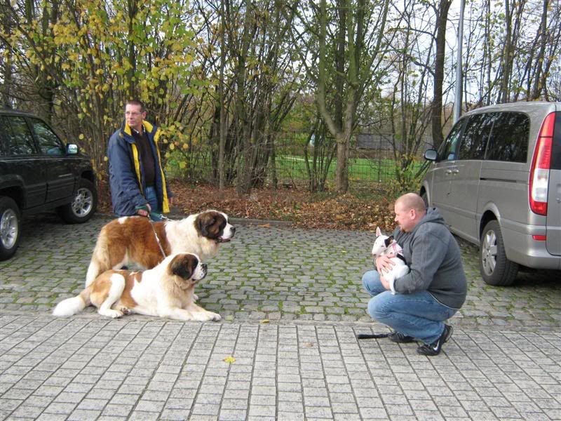 Club wandeling Wandelingsintbernardclub021Medium