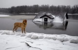 Góc Đời _Thơ FloodingUSA