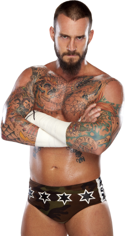 WFI Superstars CMPunk2