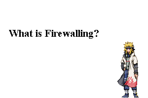  2: Roleplay Terms Firewall