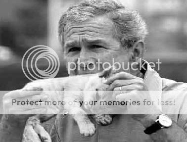 Amusing Photos - Page 2 Bush