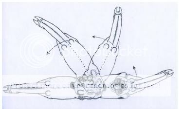 Dresurni programi dokumenti prilagodeni prema „FEI Rules for dressage events“ Okret2