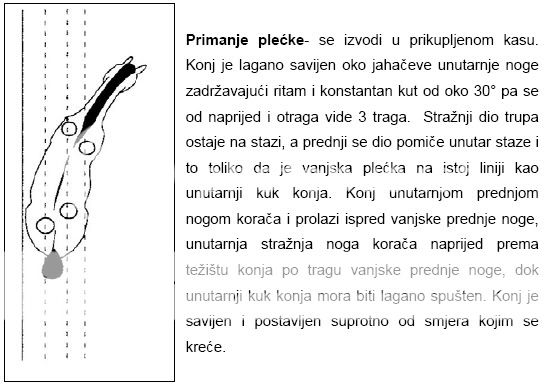 Dresurni programi dokumenti prilagodeni prema „FEI Rules for dressage events“ Primanjeplecke