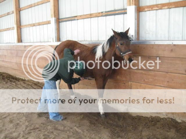 Kids lesson pics Brennenhorses033