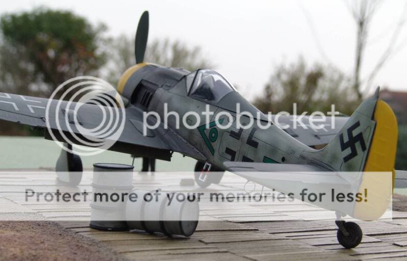 FW190F9 Trimaster DSC07772