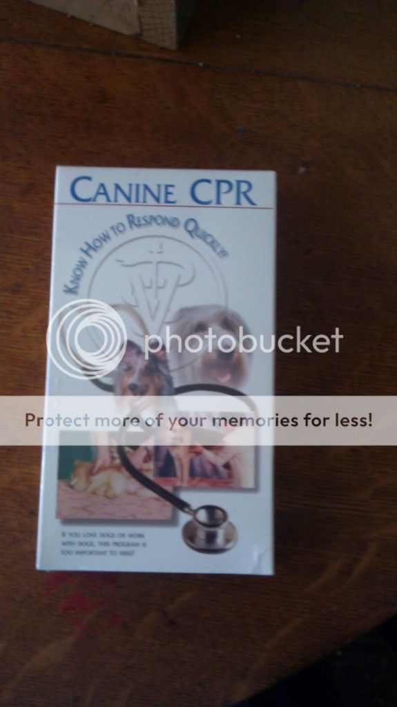 Canine CPR  IMAG0865