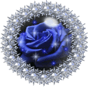 Hình nền hoa đẹp cho điện thoại - Hình nền hoa hồng cho dế yêu 0931074