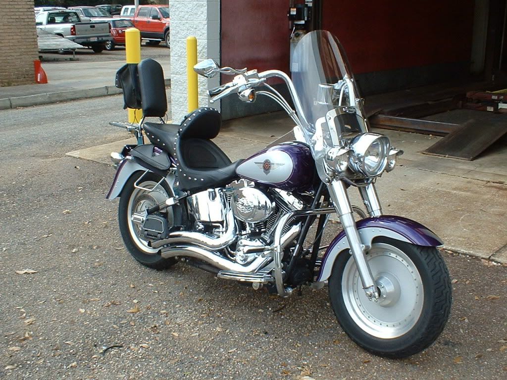 January 2011 Bike of the Month Fatboy3