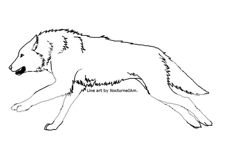 Free Use Outlines! Wolflineart