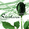 Slytherin Pride Rose