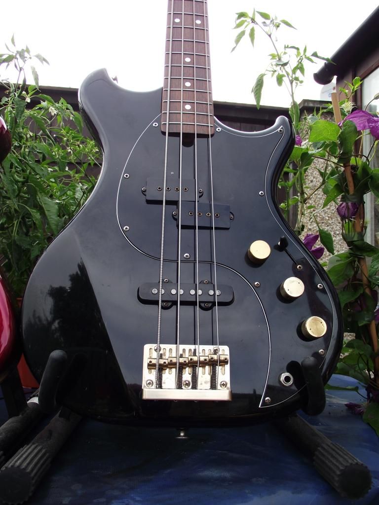 BASS - black Concord II bass on ebay UK DSCF7340_zpsaaa78447